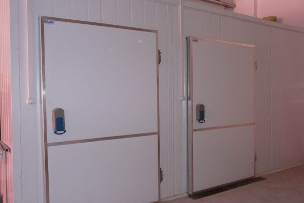 P1140048_preview-600x400